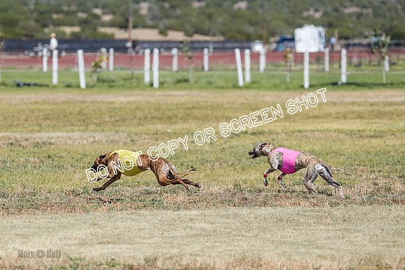 Open Flight A & B Run Off -7211