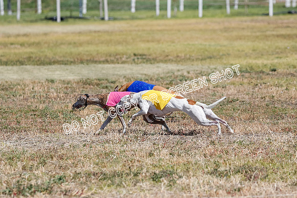 Open Flight A Run Off 3-4-5-7166