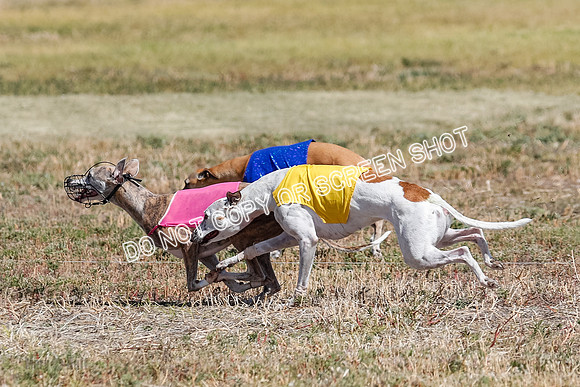 Open Flight A Run Off 3-4-5-7167