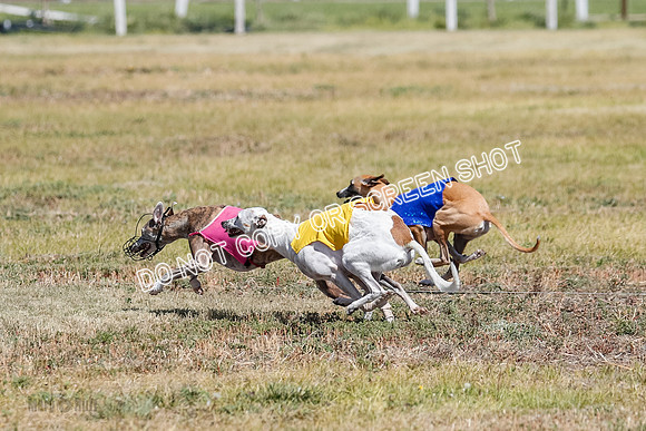 Open Flight A Run Off 3-4-5-7171