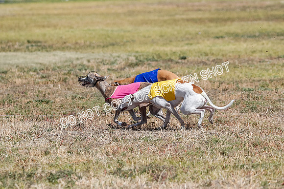 Open Flight A Run Off 3-4-5-7164