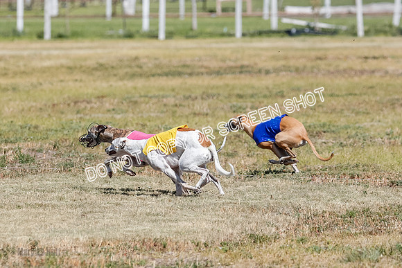 Open Flight A Run Off 3-4-5-7174
