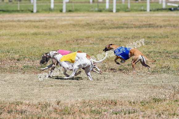Open Flight A Run Off 3-4-5-7175