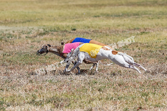 Open Flight A Run Off 3-4-5-7163