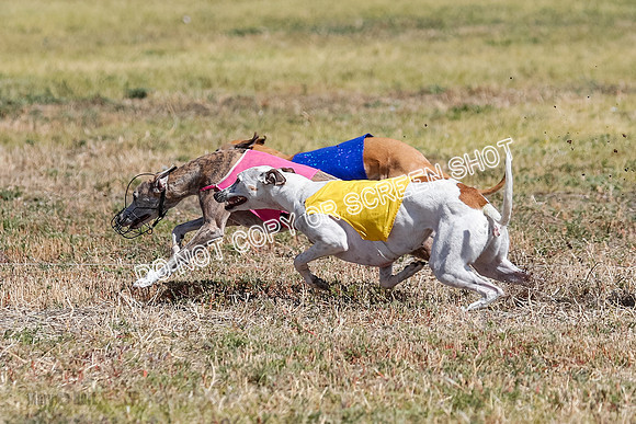 Open Flight A Run Off 3-4-5-7162