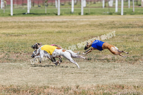 Open Flight A Run Off 3-4-5-7176