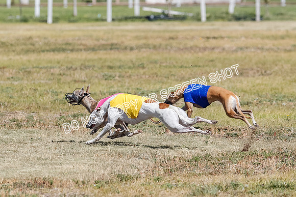 Open Flight A Run Off 3-4-5-7173