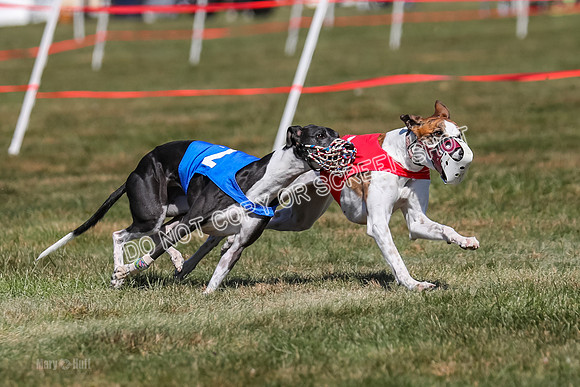 Prg 3, Race 9, Bibi Maybe Nami Rosie-2166