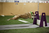 2 Ulti-Mutt/K9 Wrecking Balls