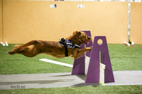 12-Zoomies/Ruff Position