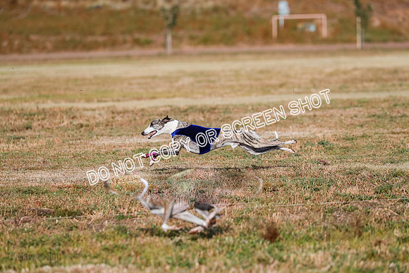 Open 4, Flight A, Zuma-Legatto-Kai-5622