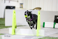 MCH50653