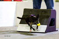 31-K9 Wrecking Ballz/Wagging Tails