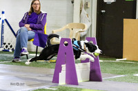 49-Rapids Intens A Flyrs/Ruff Position