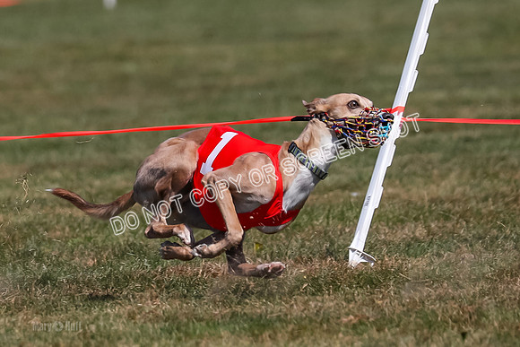 Prg 3, Race 6, Micky Sansa Power Arrow-2069