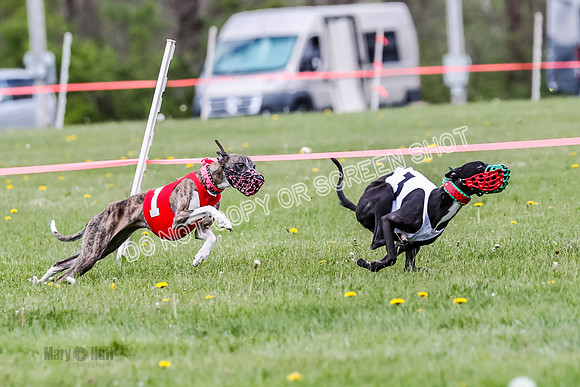 NOTRA Program 2, Race 1, Warrior Barley Flair Press-2-11