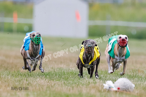 Prg 3, Race 5, Sid-Alex-Zed-Fama-Talim-1173