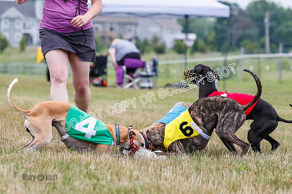 Prg 3, Race 5, Sid-Alex-Zed-Fama-Talim-1211