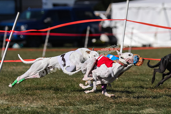 Prg 4, Race 13, oats Bookie Reas Rizzo-2766