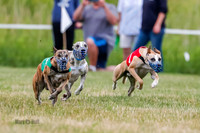 Prg 2, Race 4, Marty, Bogie, Denim, Meatloaf, Blaze, Raz-2-6