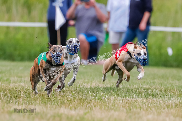 Prg 2, Race 4, Marty, Bogie, Denim, Meatloaf, Blaze, Raz-2-6