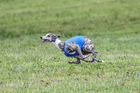 Prelim Open F2, Trippit Sid Fva-9261
