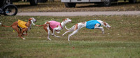 1 Prelims Fch 1 Penny Jadis Willow-5756