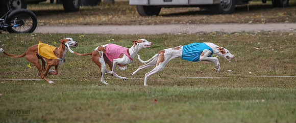 1 Prelims Fch 1 Penny Jadis Willow-5756