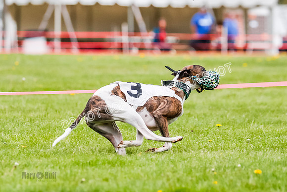 NOTRA Program 2, Race 4, Rum Moki Clyps-2-7