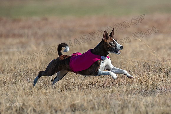 AE4I2393
