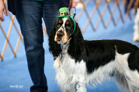 MCH57992