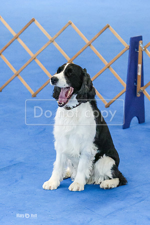 MCH58142