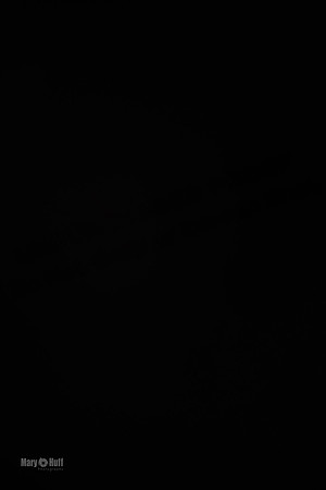 AE4I3063