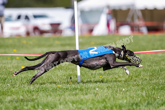 NOTRA Program 2, Race 6, Cinder Stormy Gibbs Shakespeare-2-11
