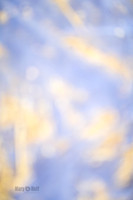 _F4I8650