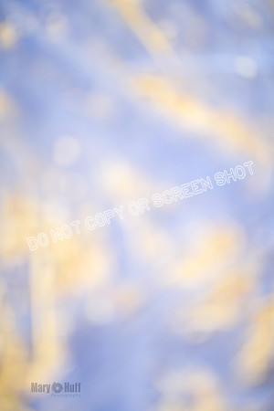 _F4I8650