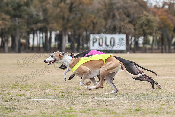 Finals Open 3 Scorch Shine Kashi-4022