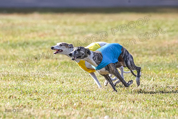 Finals Fch 1 Celine Huxley-3984