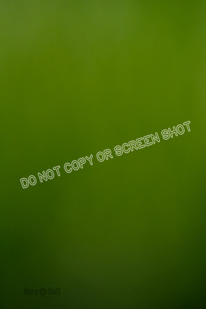 _E4I6646