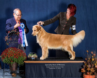 Best of Winners -Show 3 Sunday