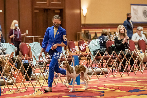 _E4I4398