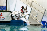 Friday Splash 1