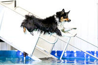 Friday Splash 2