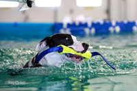 Sunday Hydro Dash