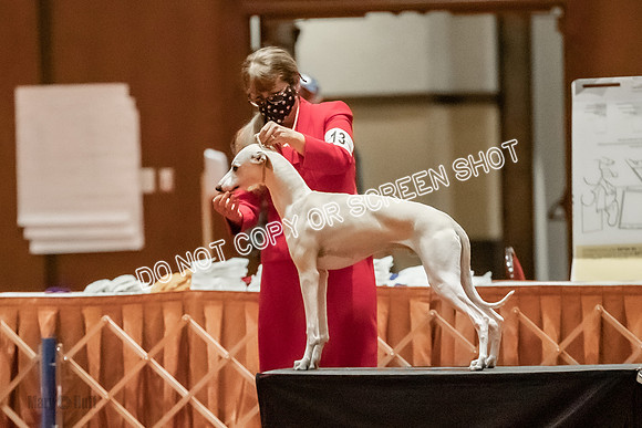 6-9 Puppy Dog-9421
