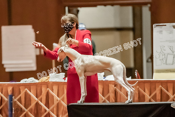 6-9 Puppy Dog-9422
