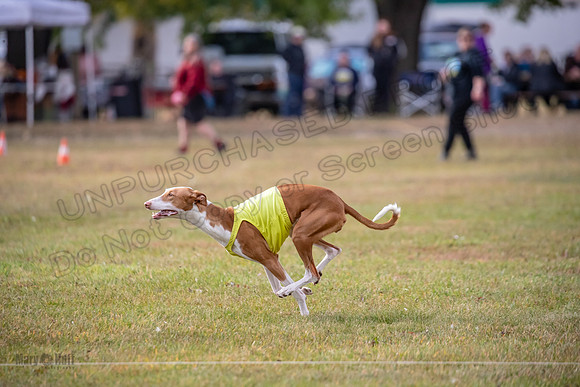 Finals Fch 2 Beastie Willow Ginny-3230