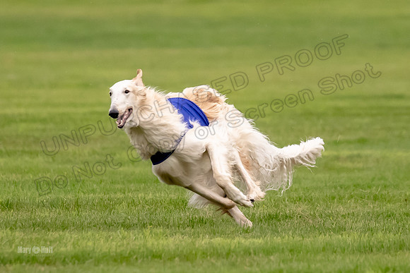 Open Prelim Bluegene Rhett Zen-0495