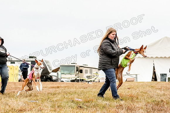 Prelim Specials B1, Pippi Madyson Abby-3387