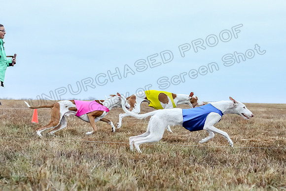 Prelim Open 1, Havok Zeppelin Alba-3040